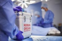Organtransplantations-Box wird in OP-Saal gebracht